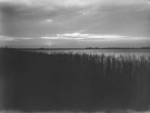 Ufer : Blick über die Böschung des Selenter Sees