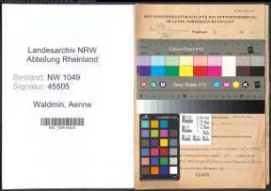 Entnazifizierung Aenne Waldmin , geb. 03.05.1891 ()