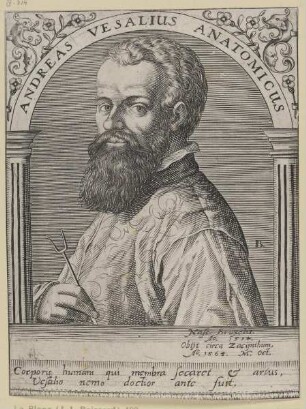Bildnis des Andreas Vesalius