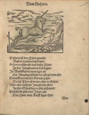 Einhorn