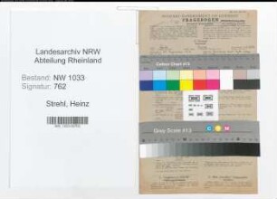 Entnazifizierung Heinz Strehl , geb. 20.12.1918 (Foerster)