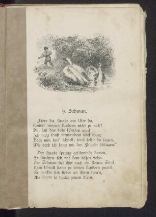 9. Schwan.