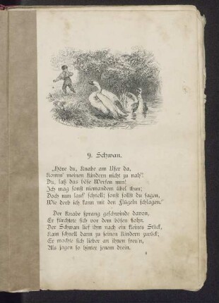 9. Schwan.