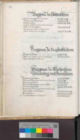 Burgmannen zu Wachenheim, Strahlenberg und Armsheim