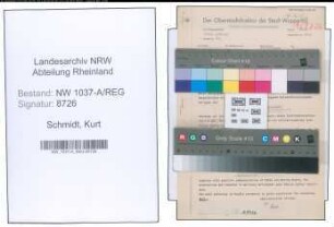 Entnazifizierung Kurt Schmidt , geb. 04.01.1902 ()