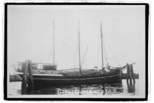 Eleonore (1916), Claus P. Juls, Hamburg