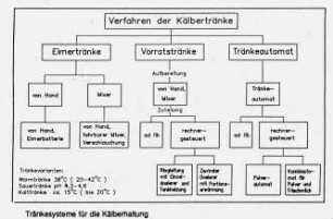 Tränkesysteme für die Kälberhaltung