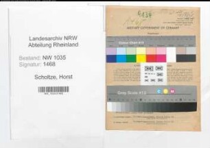 Entnazifizierung Horst Scholtze , geb. 07.11.1910 (Technischer Angestellter)