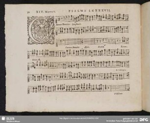 XIV. Cantate Domino canticum novum