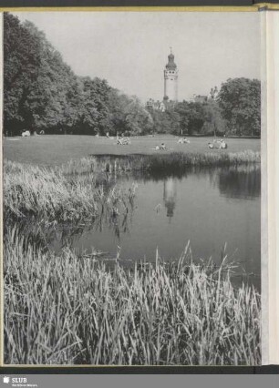 Der Clara-Zetkin-Park