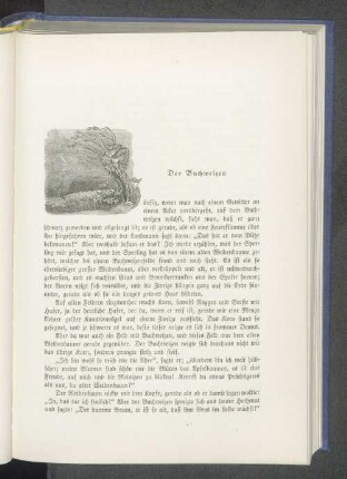 Der Buchweizen