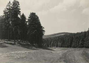 Thüringer Wald. Oberes Werratal bei Siegmundsburg