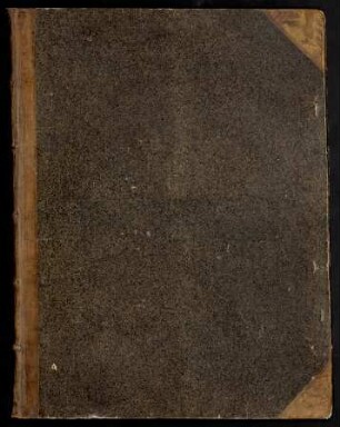 Repraesentatio Belli, ob successionem in Regno Hispanico auspiciis Trium Potentiss. Invictiss. et Gloriosiss. Caesarum Leopoldi I. Josephi I. et Caroli VI. intra 14. Annos victoriosis armis et progressibus usq[ue] ad pacem Badensem. felicissime et fortissime gesti : Cujus notatu dignissimae et ferme fidem excedentes obsidiones, terrestria ac navalia prælia, munitissimorum castrorum occupationes, et alii studepndi conatus, actusq[ue] solem[m]issimi per praesens amoemissimum opus in LVI. scite inventis et elegantissimarum figurarum circumferentia ornatis aeri incisis tabulis, recens adjuncta fide digna et succincta narratione, Posteris in perpetuam admirationem historiaeq[ue] conservationem ob oculos posita