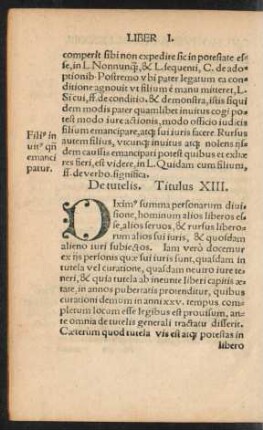 De Tutelis. Titulus XIII.