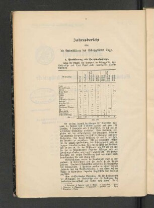 Jahresbericht über die Entwicklung des Schutzgebietes Togo.