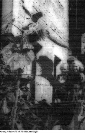"Jugendleben". Dresden, Jugendgruppe Hechtviertel (Tischtennis, Wandern, Baden etc.), 1946/47