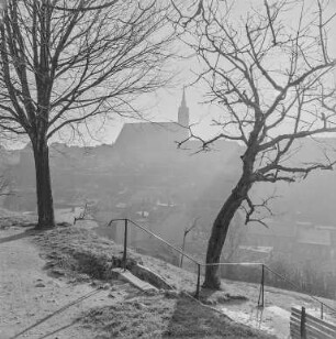 Bautzen Nordseite ohne Schnee : Bautzen. Blick auf die Stadt mit Dom St. Petri