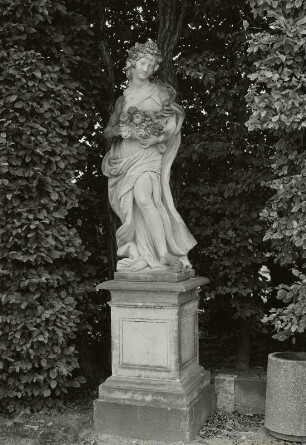 Flora