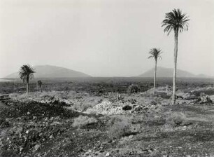 Blick über die Landschaft von Lanzarote