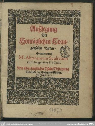 Außlegung der sonntäglichen evangelischen Texten