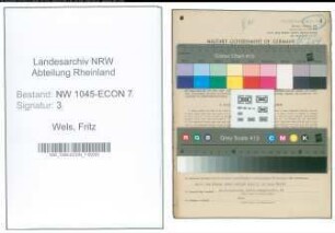 Entnazifizierung Fritz Wels , geb. 01.12.1905 (Schneider)