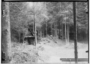 Waldbühne Sigmaringendorf - Der arme Heinrich (Gerhard Hauptmann); Seitlicher Blick auf die Bühne; 1. Bühnenbild