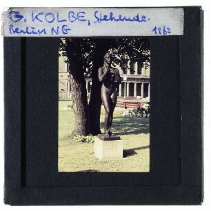 Kolbe, Stehende