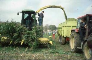Fotografie: Ernteverfahren, Feldhäcksler selbstfahrend, Maissilage, Parallelverfahren, Muldenkipper