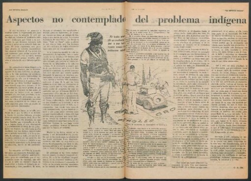 Aspectos no contemplado del problema indígena