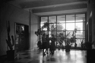 Bukarest: Institut für Fürsorgeschwestern, Blumenfenster am Eingang