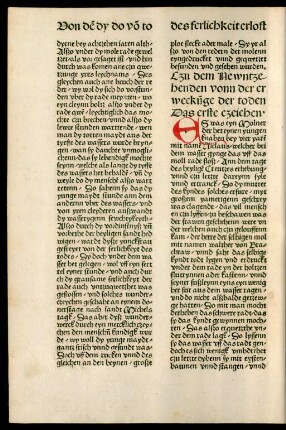 Czu dem Newntzehenden vonn der erweckunge der toden ...