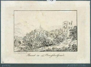Blick auf die Stadt- und Bergkirche und die Burgruine in Tharandt