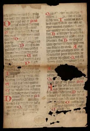 [Psalterium]; Ps 21-24