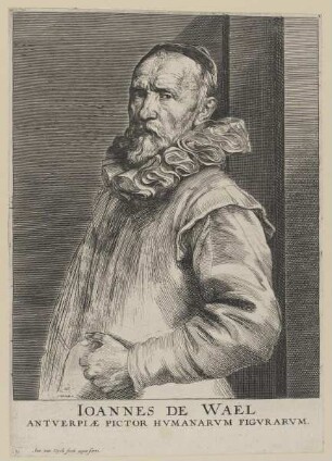 Bildnis des Ioannes de Wael