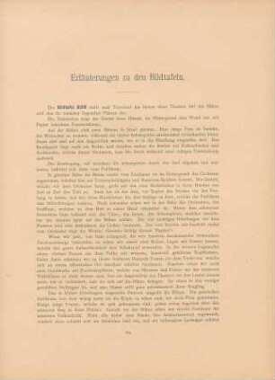 Erläuterungen zu den Bildtafeln