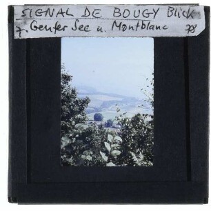 Bougy-Villars, Signal de Bougy,Mont Blanc