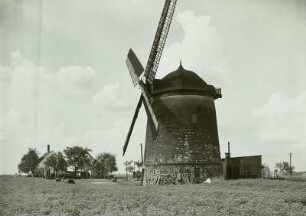 Thallwitz-Canitz, Turmwindmühle