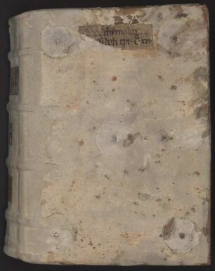 Etymologiarum libri XX - BSB Clm 4541