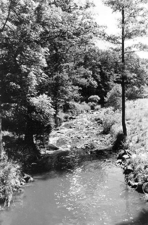 Löbau-Bellwitz. Blick von der Brücke über das Löbauer Wasser bei der "Gemauerten Mühle"