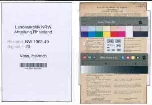 Entnazifizierung Heinrich Voss , geb. 06.04.1903 (Angestellter)