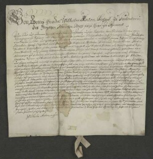 1768 Apr. 14. Lehnsbrief des Paderborner Erzbischofs für Kleinsorge.
