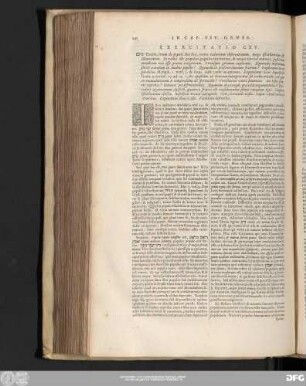 Exercitatio CXV.