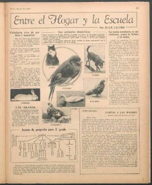 Los animales domésticos [Fotografías]