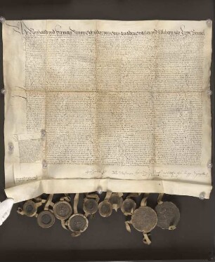 Regest Hoppe. 1559 Jan. 21. Teilung der Herrschaft Lippe.