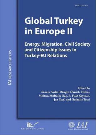 2: Global Turkey in Europe : political, economic, and foreign policy dimensions of Turkey's evolving relationship with the EU
