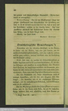 Ornithologische Bemerkungen