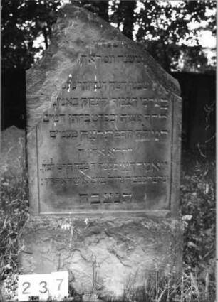Grabstein 237 (Index: 99629738) Material: Sandstein Zustand: oberer Teil abgebrochen Maße HxBxT: 133x69x10 cm Beschreibung: Stele, Sockel Besonderheit: sprachl.Anklänge an Genesis 22, 1 /22, 11: Grabstein 237