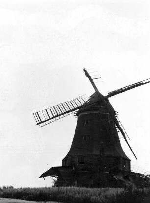 Klütz. Galerieholländer, Baujahr 1904