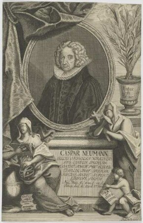 Bildnis des Caspar Neumann