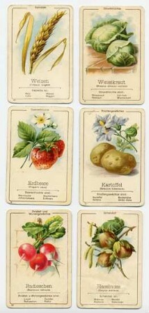Kartenspiel: Obst- und Gemüsequartett